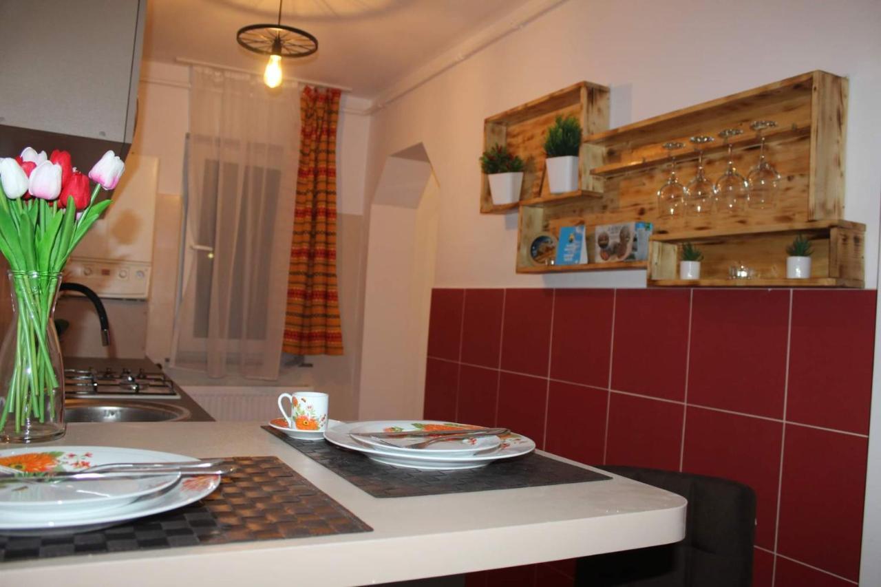 Apartament Dania & Petru Apartment Târgu Ocna Exterior photo